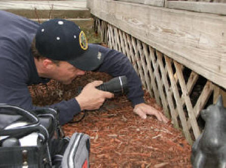 File:Inspection.jpg
