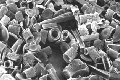 File:Filter Aids 01.jpg