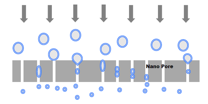 File:Schematic diagram depicting the liposome extrusion.png
