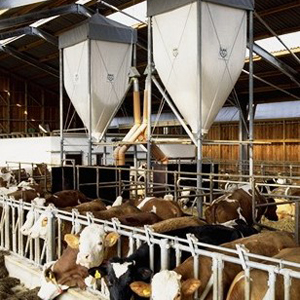 File:Flexible silos 2.jpg