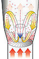 Thumbnail for version as of 05:40, 5 October 2012