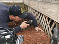 Thumbnail for version as of 20:20, 10 December 2012