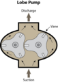 423px-Common Lobe Pump.png