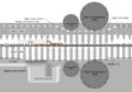 Thumbnail for version as of 00:18, 12 May 2012
