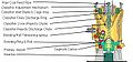 Thumbnail for version as of 00:49, 15 October 2012