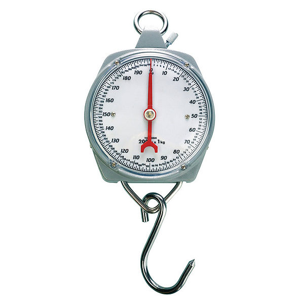 File:Dail scale.jpg