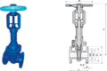 Bellow valve1.gif