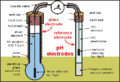 Thumbnail for version as of 07:49, 27 December 2012