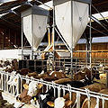 Thumbnail for version as of 02:24, 21 September 2012