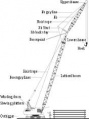 Thumbnail for version as of 20:19, 7 September 2013