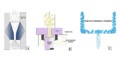 Thumbnail for version as of 05:38, 25 February 2022