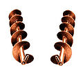 Thumbnail for version as of 11:38, 29 August 2012