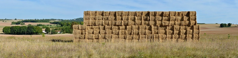 File:Ronsenac Mur de balles.jpg